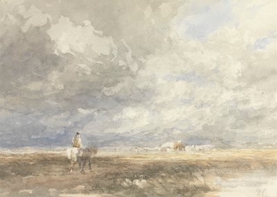 Skal til Hayfield av David Cox