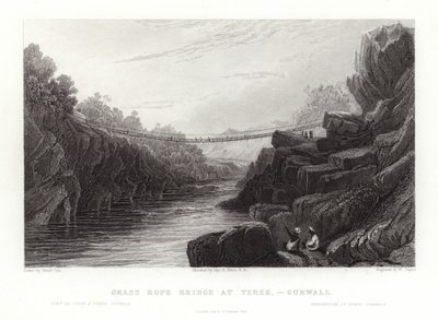 Gresstaubro av David Cox
