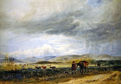 Llugwy Meadows (akvarell på papir) av David Cox