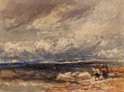  av David Cox