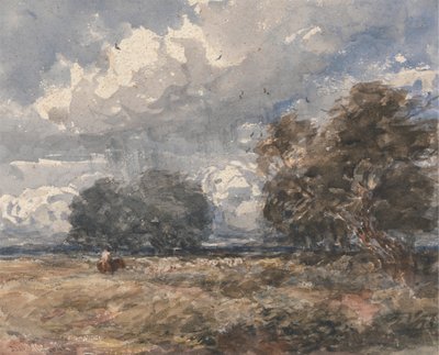 Gjeter flokken, vindfull dag av David Cox