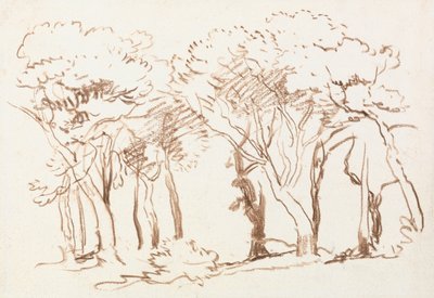  av David Cox