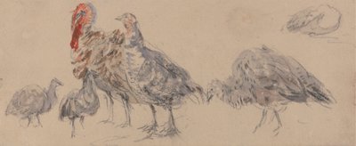 Studie av Tyrkia av David Cox