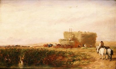 Hayfield av David Cox