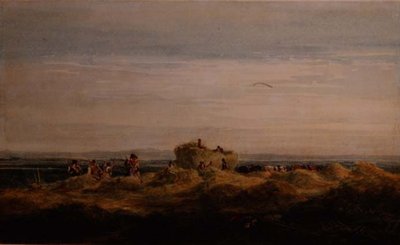Hayfield av David Cox