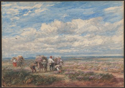  av David Cox
