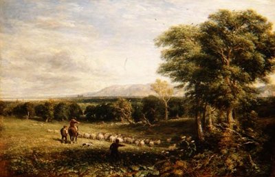 Vale of Clwyd av David Cox