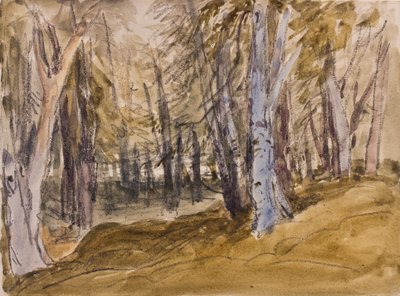 Trær på Box Hill (kull og wc på papir) av David Cox