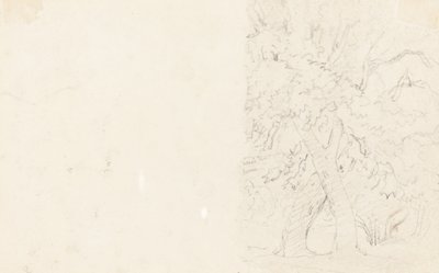 Trær [verso] av David Cox