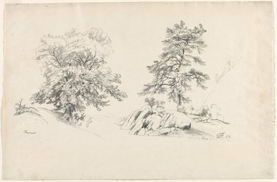Kastanje og furu, 1869. av David Johnson