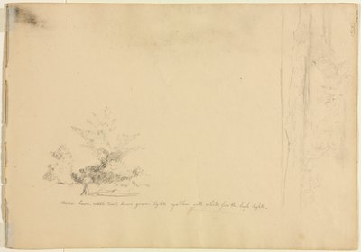 Landskap og trestudier verso, ca. 1851. av David Johnson