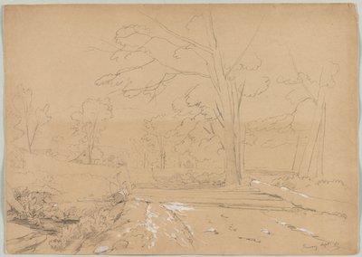 Landskap med mannfiske, Conway, New Hampshire, 1851. av David Johnson