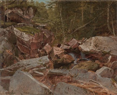 Study, North Conway, New Hampshire, 1851 av David Johnson