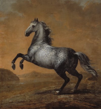 Den lille engelskmannen, kong Karl XI (1655-97) sin hest av David Klöcker Ehrenstrahl