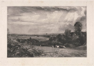 Sommermorgen av David Lucas