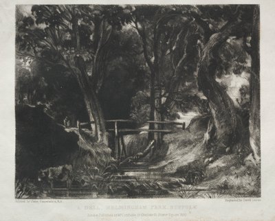 Ulike landskapsfag, karakteristisk for engelsk natur fra bilder malt av John Constable, R.A.: Dell in the Woods of Helmingham Park, Suffolk av David Lucas