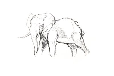 Bull Elephant, 2021 (fargestift på papir) av David Mayer