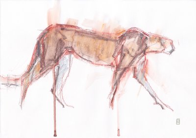 Gepardjakt, 2019 (fargestift/akvarell på papir) av David Mayer