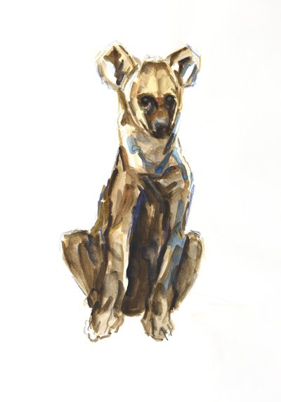 Hyenevalp, 2020 (akvarell, fargestift og gouache på papir) av David Mayer