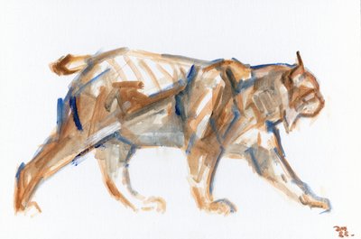 Lynx, 2022 (olje på lerret lagt panel) av David Mayer