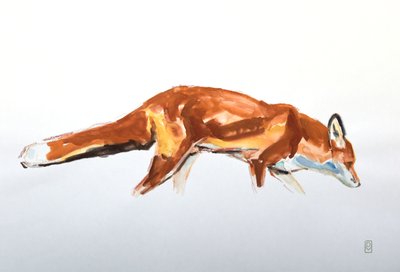 Red Fox, 2020 (akvarell og fargestift) av David Mayer