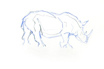 White Rhinoceros, 2020 (fargestift på papir) av David Mayer
