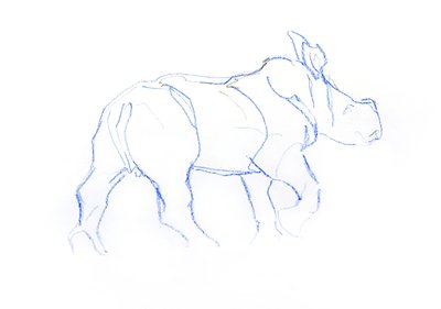 White Rhinoceros-kalv, 2020 (fargestift på papir) av David Mayer