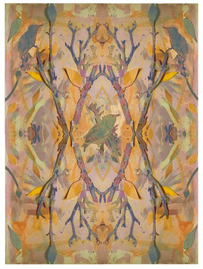 Starlings, 2016, Collage on Paper av David McConochie