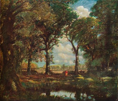 A Woodland Pool, c1905 av David Muirhead