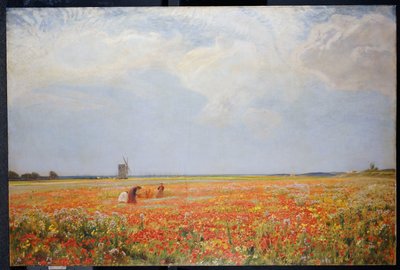 Blomsterplukkerne av David Murray