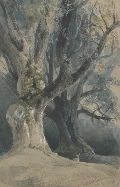 Trær i Northwick Park av David Roberts