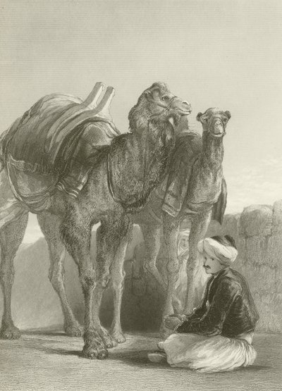 En gruppe kameler ved Smyrna av David Wilkie