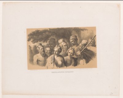 nederlandske tyskere nederlandske tyskere (tittel på objekt) av David van der Kellen
