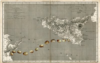 Wonder Atlas - Sicilia av Deirdre Kelly
