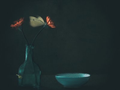Mørk blomster-sommerfugl av Delphine Devos
