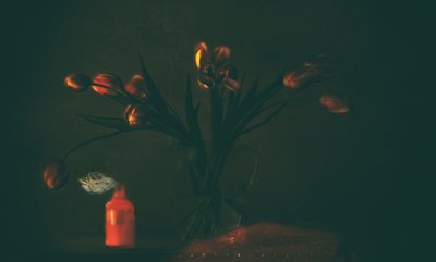 Mørke, stemningsfulle tulipaner av Delphine Devos