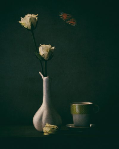 Elegante roser og sommerfugl av Delphine Devos