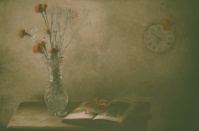 Visne blomster og tiden av Delphine Devos