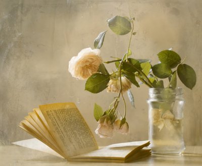«Faded Roses» – Åpen bok av Delphine Devos