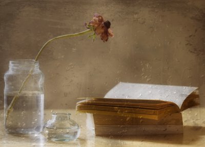 Melankolisk blomst og bok av Delphine Devos