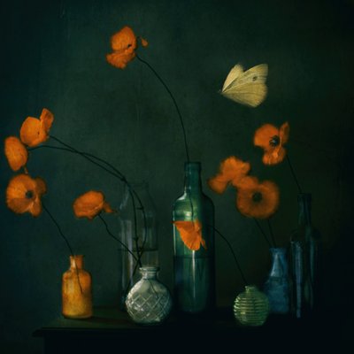 Moody Poppies-sommerfugl av Delphine Devos