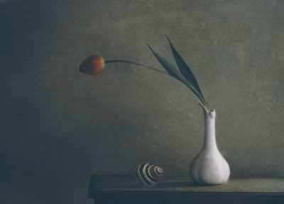Stilleben med stemningsfulle tulipaner av Delphine Devos