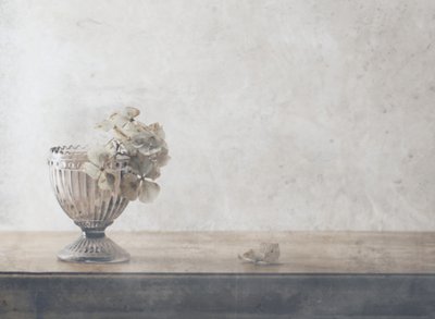 Stillbilde av dempede tørkede blomster av Delphine Devos
