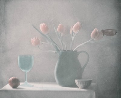 Pastellfargede tulipaner – stilleben av Delphine Devos