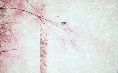 Fugl med rosa blomster av Delphine Devos