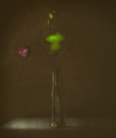 Stille blomst og blad av Delphine Devos