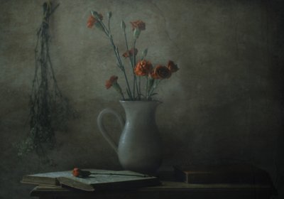 Stilleben med stille nelliker av Delphine Devos