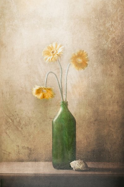 Stille gule blomster av Delphine Devos
