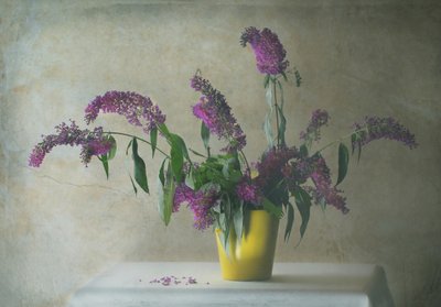 Rustikt blomsterstilleben av Delphine Devos