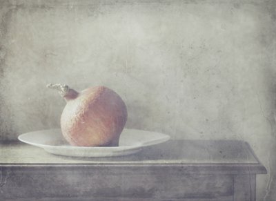 Rustikt stilleben med squash av Delphine Devos